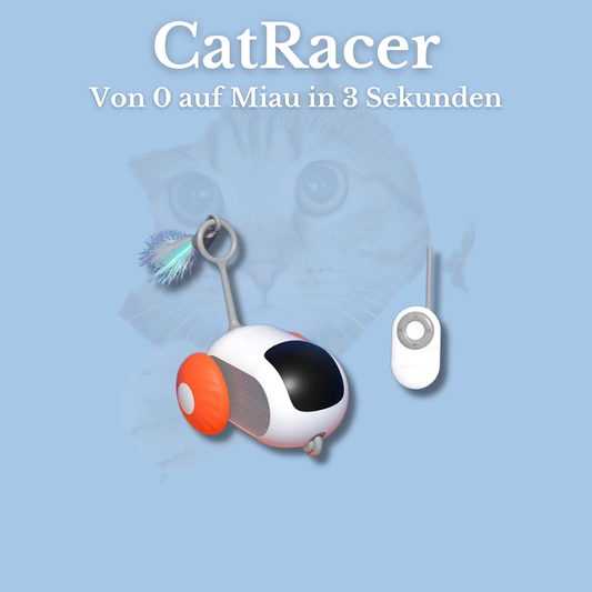 CatRacer - Von 0 auf Miau in 3 Sekunden.